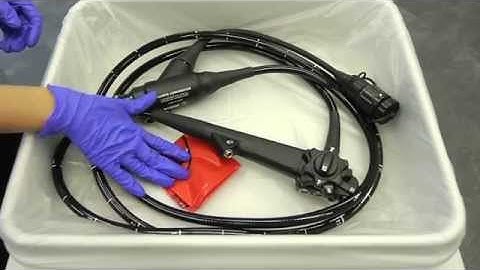 CLEANASCOPE®: Transport et stockage des endoscopes