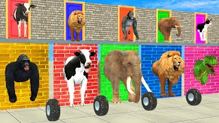 Cow Elephant Lion Gorilla Tiger T-Rex Guess The Right Door Mystery Wall Challenge Animals Tire Game