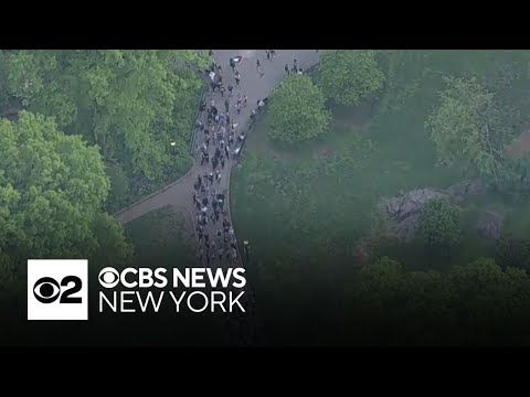 Protesters attempt to make their way to the Met Gala through Central Park