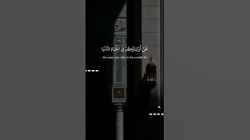 تلاوة خاشعة إن الذين قالوا ربنا الله ثم استقاموا....