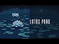 Lotus pond the songbirds melody