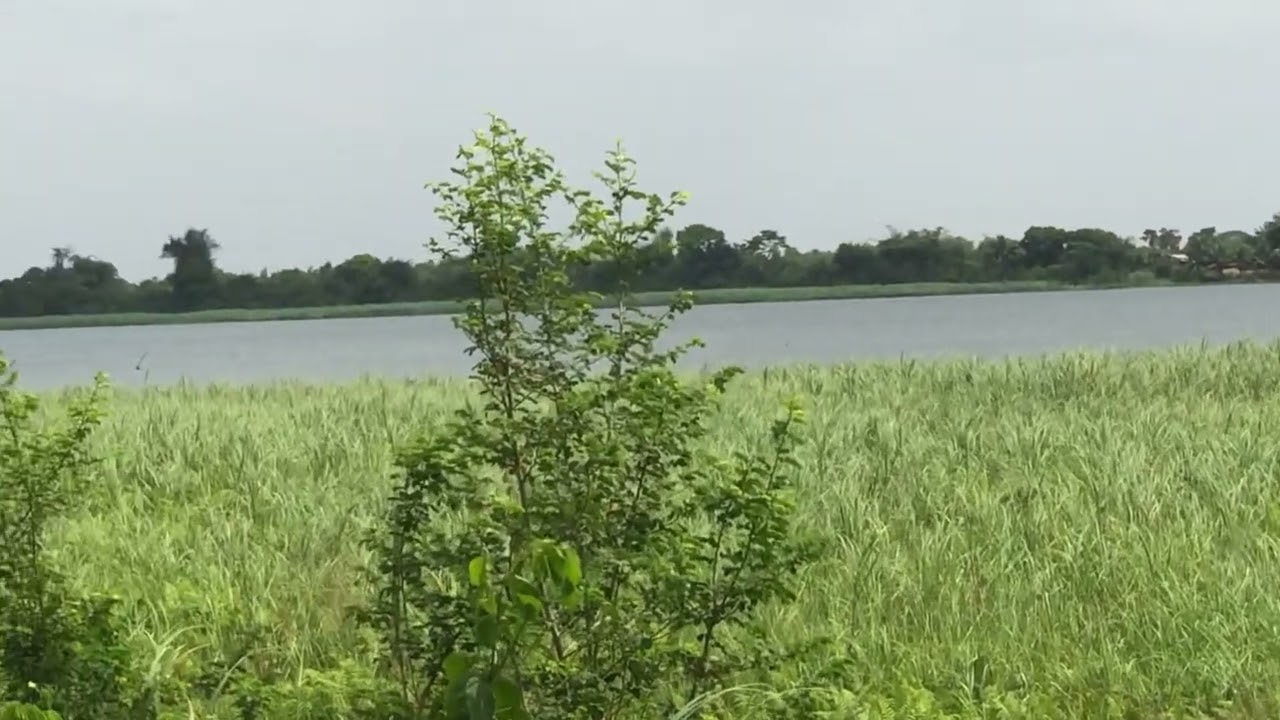 Waterfront/River Land for Sale in Akpaflito, South Tongu – Sogakope