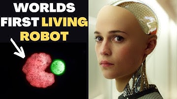Worlds First Living Robot (Looks Like Pac-Man)