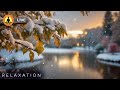 🔴 Relaxing Music 24/7, Stress Relief Music, Sleep Music, Meditation Music, Study, Calming Music