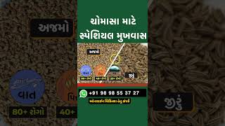 ચોમાસા માટે સ્પેશિયલ મુખવાસ