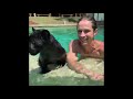 REAL TARZAN LIVES WITH MONKEYS AND TIGERS. Kody Antle (Off Top)