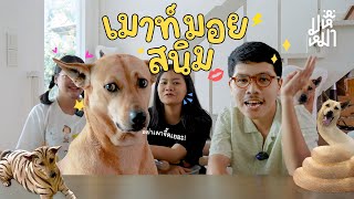 (Eng Sub) Secrets of my dog (Sanim Edition) - Ma Hue Mha EP171