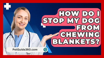 How Do I Stop My Dog From Chewing Blankets? - PetGuide360.com