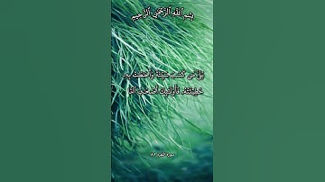 تلاوة تهز القلوب عن سوء العاقبة آية 80 و 81 و 82 من سورة البقرة بصوت مشاري راشد العفاسي