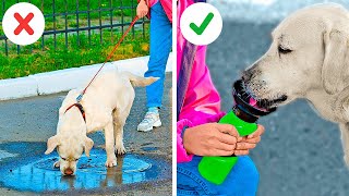 Incredible Hacks For Pet Owners || Must Have Gadgets For Your Pets
