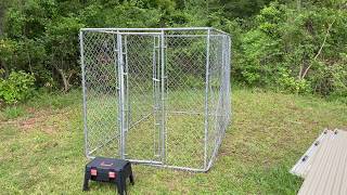 chain link chicken pen coop dog
