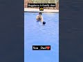 #pooltime🏊 #enjoy #summervibes⛱️ #ytshortsindia😍