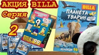 Обзор акции BILLA. 📗 Книга-альбом - Планета животных, серия 2. 🐼 Панда Джиа (Не Льорки) Обзор акции BILLA. 📗 Книга-альбом - Планета животных, серия 2. 🐼 Панда Джиа (Не Льорки)