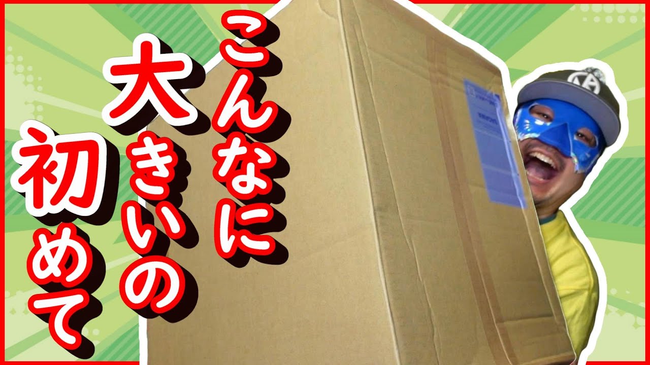 こんなに大きなゲーム福袋は当たり確定だよね？駿河屋で買ったゲームお楽しみ福袋がデカくて重すぎる