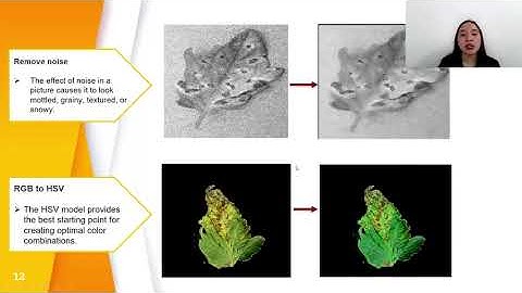 Tomato Leaf Disease Detection Using Convolution Neural Network CNN