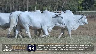 44