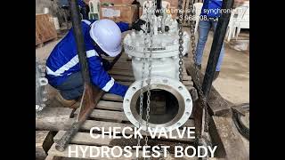 Hydrostatic Shell Test Procedure for Swing Check Valves (API 598)