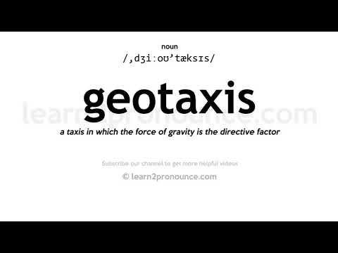 ការបញ្ចេញសំឡេងនៃការ Geotaxis | និយមន័យនៃ Geotaxis