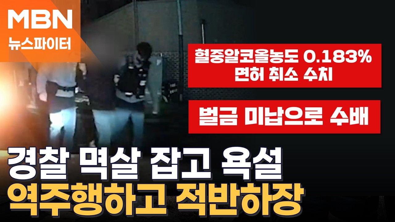 경찰 멱살 잡고 욕설…음주 운전에 역주행까지 하고 적반하장 - 뉴스파이터