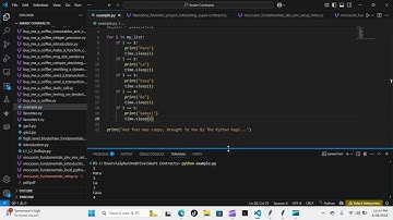 Python Papi / Smart Contracts - Moccasin Fundamentals Setup - Knowledge Demostration