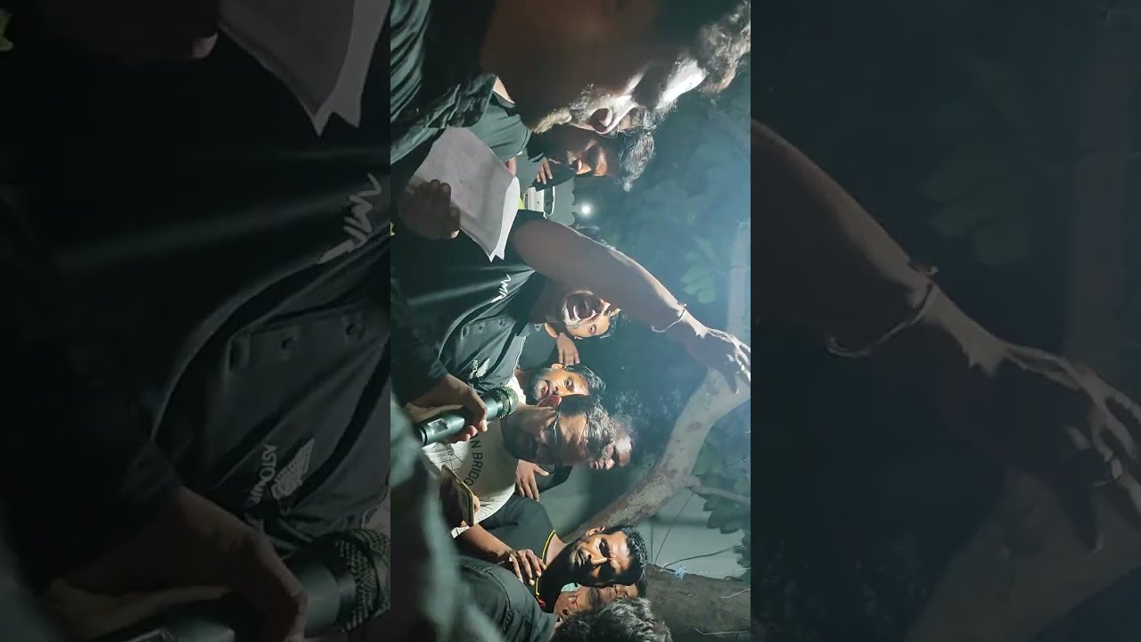 HUSSAIN BADSHAH Noha 10 moharram azadari #azadarinetwork #noha #moharram #azadari