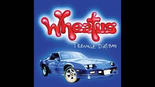 Video thumbnail of "Wheatus - Teenage Dirtbag (Official Clean Version)"