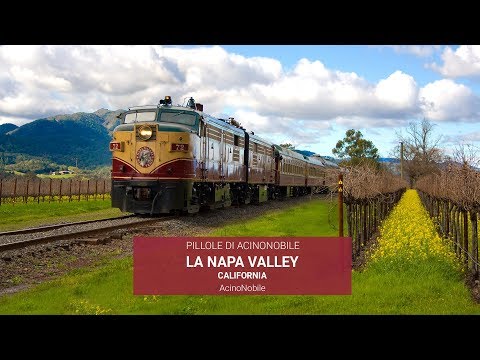 Video: Estate nella Napa Valley: guida meteo ed eventi