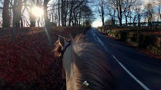 Hack with me! | Our first hack alone!