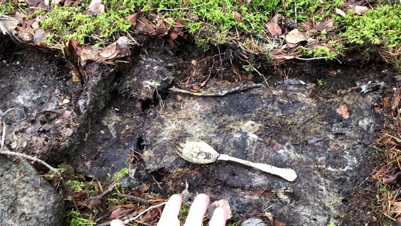 I found a silver plated spoon without my detector!