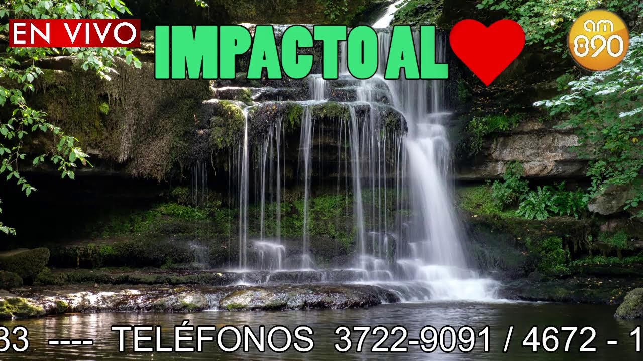 AM 890 Radio Libre EN VIVO