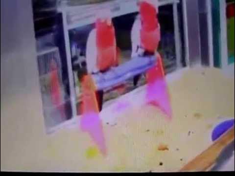 Bird Paradise/Burlington NJ 1-25-09 Heidi+Joe - YouTube