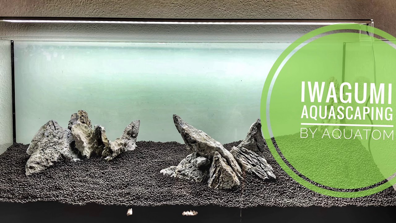 Aquascaping Iwagumi Step by Step Tutorial Aquarium Setup YouTube