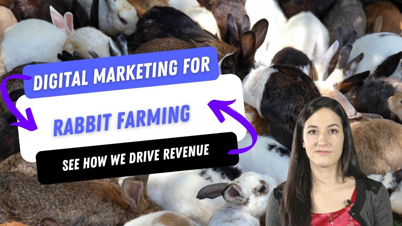 Digital Marketing For Rabbit Farming | AgFunnel