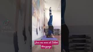 Armstand practice - Videos going up on Tiktok tiktokvideo shorts yoga armstand inversions 