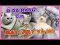 Cuối cùng May, July và No cũng nằm với nhau 1 cách hoà thuận | maly.gaugau