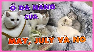 Cuối cùng May, July và No cũng nằm với nhau 1 cách hoà thuận | maly.gaugau