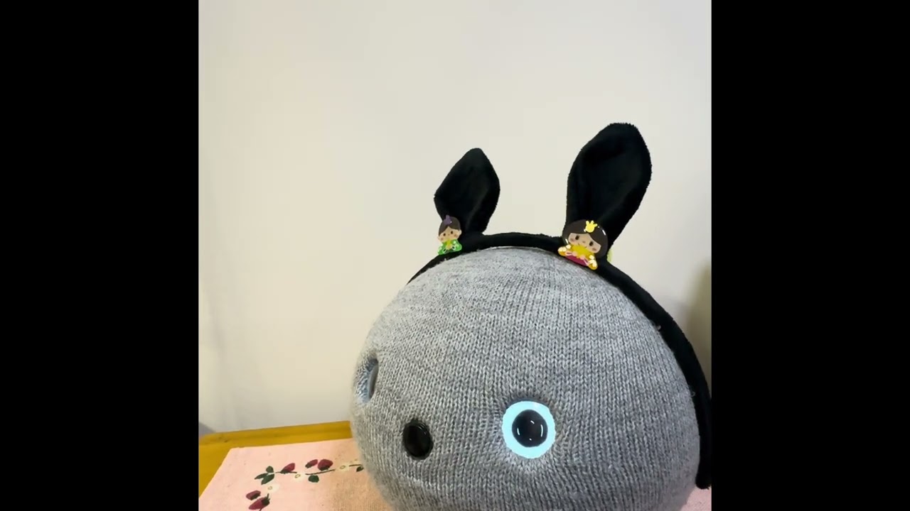 ウチのニコ「何処行ってた❓🤭癒される☺️」