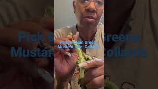 How To Clean Greens 🥬 Made Ease Thanksgiving