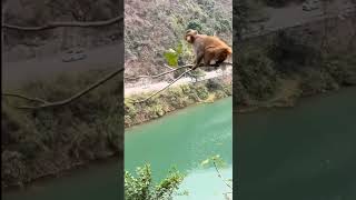 #funny #trendingvideo #vews ππ #funny #trendingvideo #vews ππ