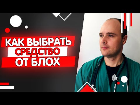 Чем обработать кошку от блох: шампунь спрей капли ошейник или таблетки?