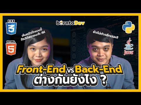 สาย Front-End vs Back-End แตกต่างกันยังไง !?
