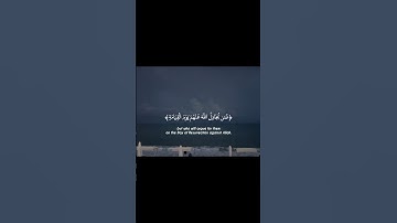 #قران_كريم #سورة_النساء #عمير_شميم