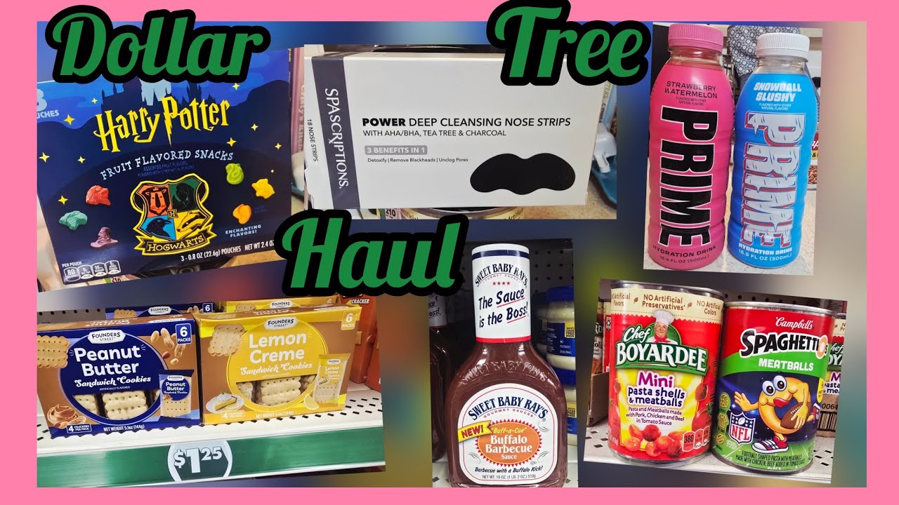 В субботу в снежную погоду привезли вещи из магазина Dollar Tree.