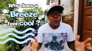 Why does a Breeze feel Cool? | Coma Niddy