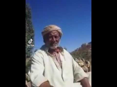 نكت يمنيه ذماري