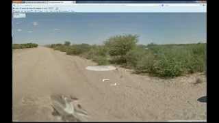 Google Donkey