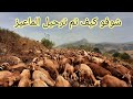 شاهدو معي🇪🇸 كيف تما ترحيل🐐  الماعز من المزرعه التي كنت فيا إلى🌄 مزرعة أخرى على الأرجل🚶‍♂️