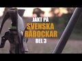 JAKT PÅ SVENSKA RÅBOCKAR DEL 3