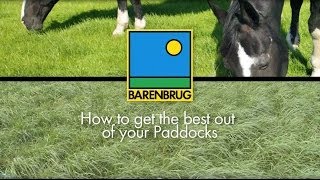 How to Maintain and Renovate Horse Grass Paddocks. Advice on Equine Paddocks