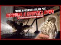 How to save a hawk  raptor rescue  wildlife command center  ep 2